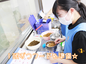 ドッグパークルームのお世話！